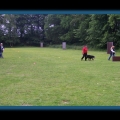 bild075