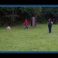 bild092