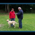bild096