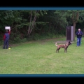 bild111