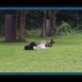 bild116