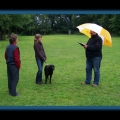 bild132