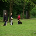 bild_008