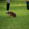 bild_069