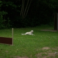 bild_080