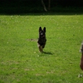bild_094