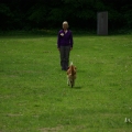 bild_111