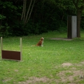 bild_112