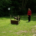 bild_125