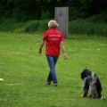 bild_145