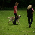 bild_152