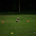 bild_153