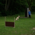 bild_155