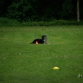 bild_160