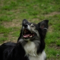 bild_172