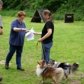 bild_173