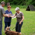 bild_178