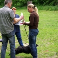 bild_184