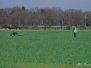 2.-3. April 2016: LG-FCI in Verden