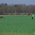 www_IMGP2130