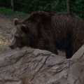 ib_p025_0_35
