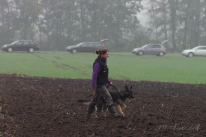 25. Oktober 2014: Herbstprüfung