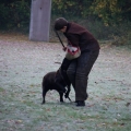 bild003