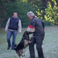 bild004