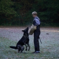 bild007