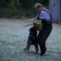 bild008