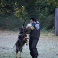 bild012