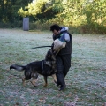 bild013