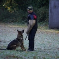 bild014