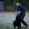 bild016