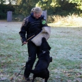 bild018