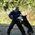bild020