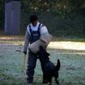 bild022