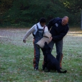 bild023