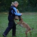 bild024