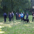 bild026