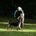bild028