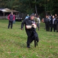 bild030