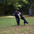 bild031