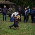 bild035