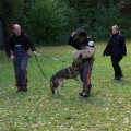 bild040
