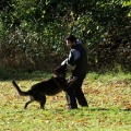 bild041