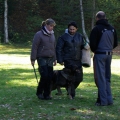 bild042