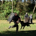 bild043