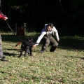 bild046