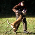 bild048